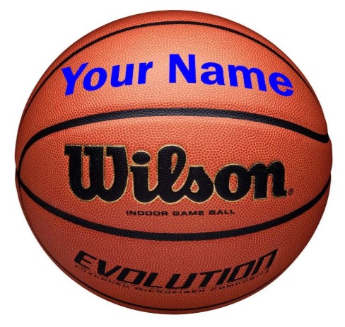Wilson Customized Personalized Evolution Basketball Indoor Game Ball 