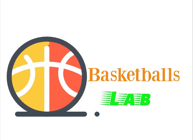 Make Your Basketball Game More Professional With BasketballsLab
