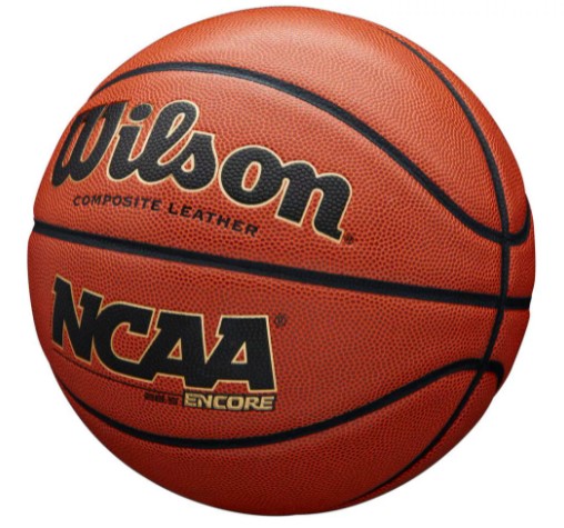 Features of Wilson Encore Basketball